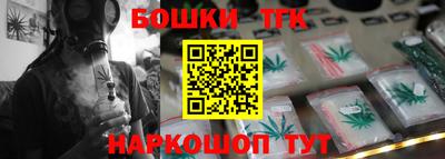 крисы Славгород