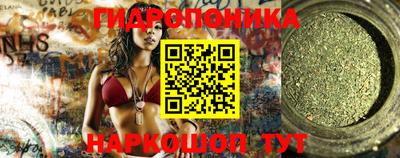 крисы Славгород