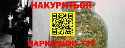 крисы Славгород