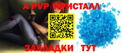 крисы Славгород