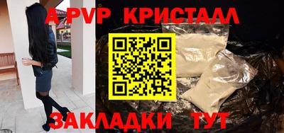 крисы Славгород