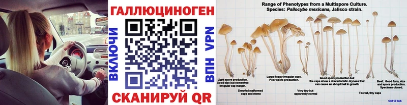 Галлюциногенные грибы MAGIC MUSHROOMS  Североморск 