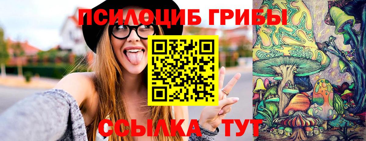 Североморск  Галлюциногенные грибы Cubensis  Вход с VPN  закладка  Галлюциногенные грибы мицелий 